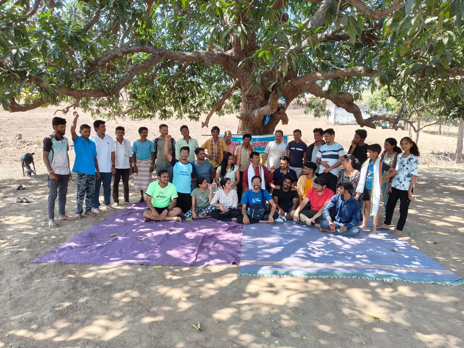 यंग फाऊंडेशनचे सदस्य सातपुडा डोंगरातील एका मोठ्या झाडाखाली उभे आणि बसलेले आहेत.
