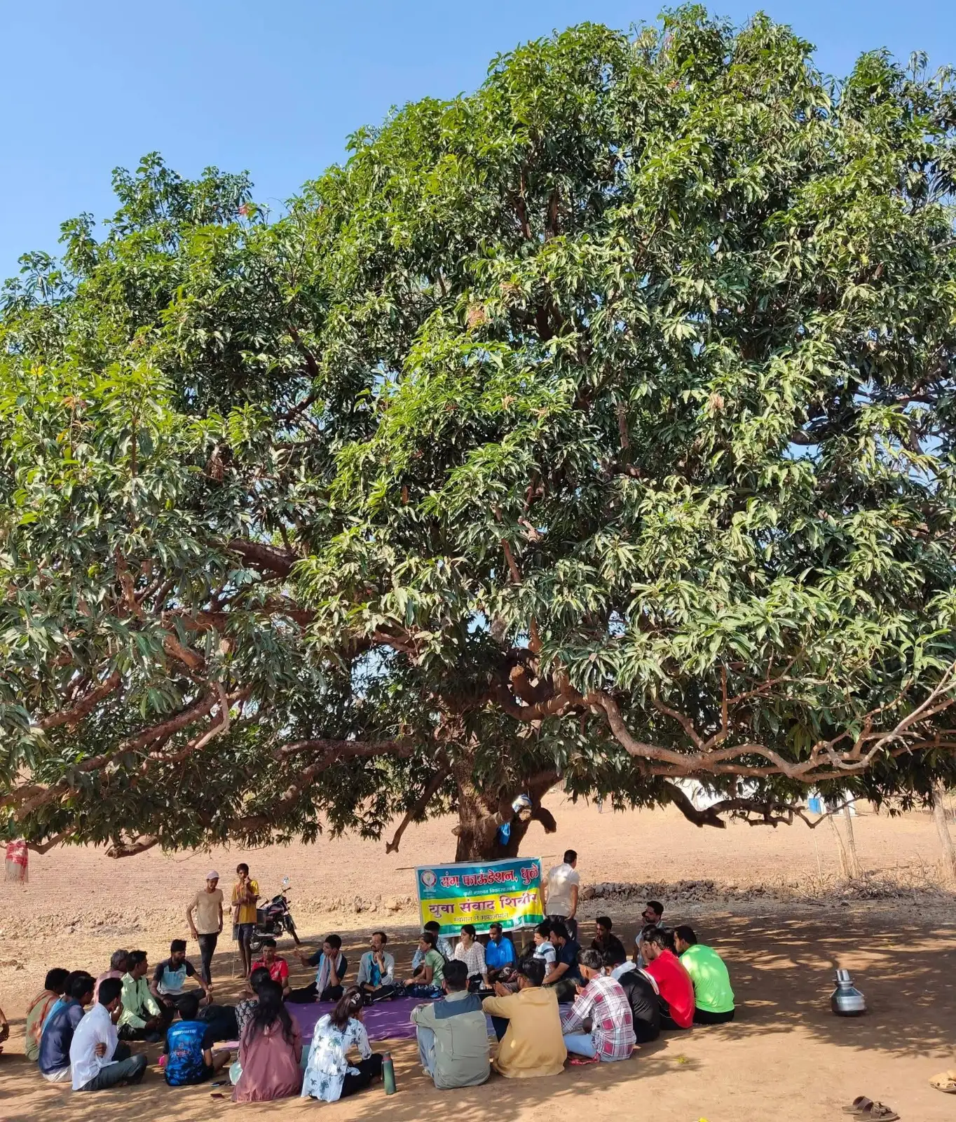 मोठ्या झाडाच्या सावलीत बसलेले लोक.